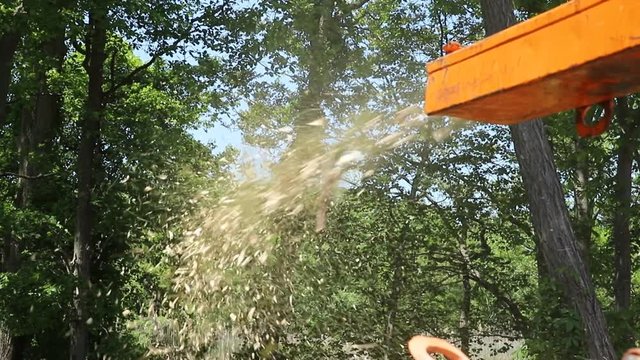 Wood chipper is ready to be use poplar trunks grinding machine to become chip