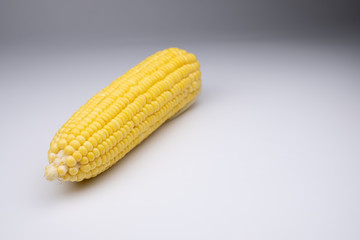 raw corn on white back ground