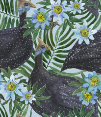 Watercolor painting seamless pattern with guinea fowl birds and blue passion flowers. Hand drawn summer background