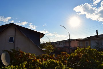 cielos puros curico sol