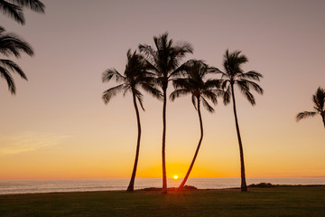 Fototapeta na wymiar Hawaiian sunset
