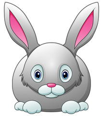 Cute rabbit cartoon isolated on white background