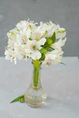 White Alstroemeria Spring summer Flowers Gray Textured Cement Background with Copy Paste Floristic