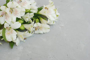 White Alstroemeria Spring summer Flowers Gray Textured Cement Background with Copy Paste Floristic