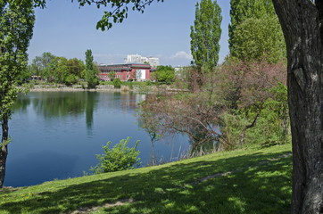Obraz premium Early springtime green, dry reed or rush and house on a beauty lake in residential district Drujba, Sofia, Bulgaria 