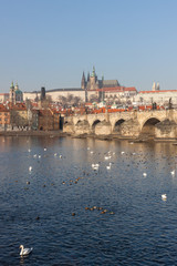 Fototapeta premium Charles Bridge and St. Vitus Cathedral in the background
