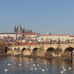 Charles Bridge and St. Vitus Cathedral in the background