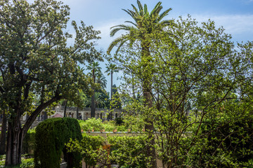 Fototapeta premium Spain, Seville, TREES IN garden AGAINST SKY
