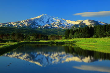 新緑の鳥海山