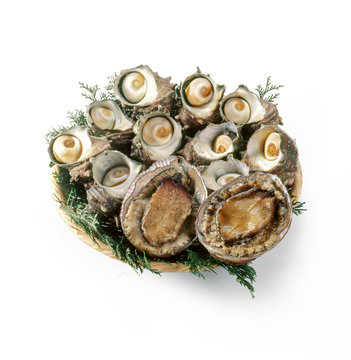 アワビ・サザエ (abalone and turban shell)