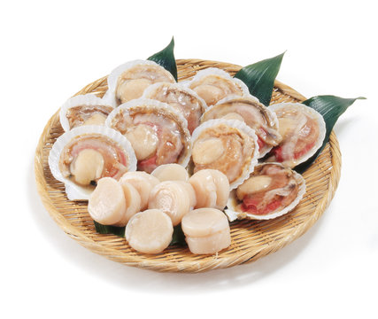 ほたて scallop