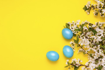 Naklejka na ściany i meble Cherry Blossom Branch and Easter Blue Eggs on the Yellow Background.