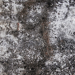 Abstract grungy background. Image includes a effect the black and white tones.