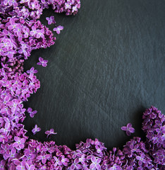 Lilac flowers as a frame