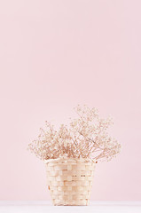 Modern soft pink pastel home interior with natural dried white flowers in rustic basket on soft light wooden background.