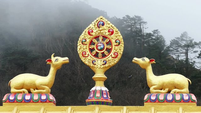 One of the most important symbols of Buddhism - Dharma Wheel on the background of the foggy forest.