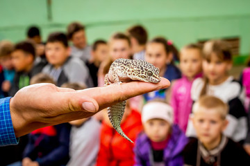 Ukraine. Khmelnytsky region. May 2018. Lizard on her husband's hand. Man shows  lizard to  children. Children look at lizard with delight_