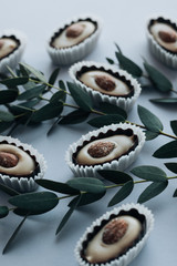 Composition of delicious praline sweets with almonds and green twigs on blue background