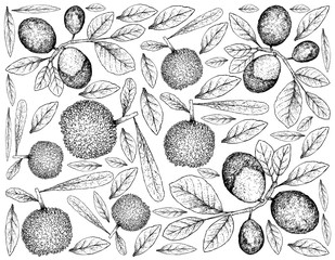 Hand Drawn Background of Bayberry and Cocoplum Fruits