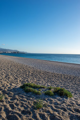 The beach of the dead with the sun and the blue sky