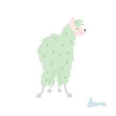 Vector illustration of  llama