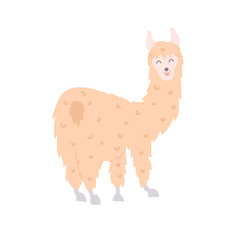 Vector illustration of  llama