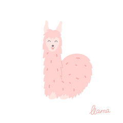 Vector illustration of  llama