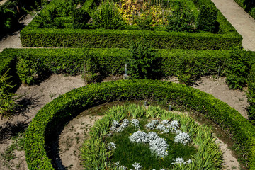 Spain, Seville, HIGH ANGLE VIEW OF PLANTS GROWING IN GARDEN