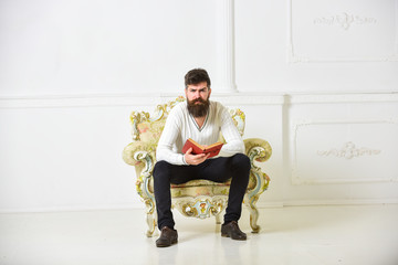 Man with beard and mustache sits on armchair and reading book, white wall background. Macho smart...