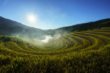 Naklejka na ściany i meble Terraced rice field in harvest season at sunset in Mu Cang Chai, Vietnam.