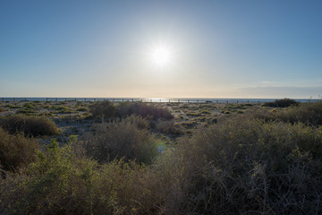 The beach of the dead with the sun and the blue sky
