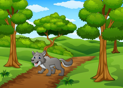 The wolf walking in way of forest hills