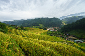 Fototapeta premium Terraced rice field in harvest season in Mu Cang Chai, Vietnam.