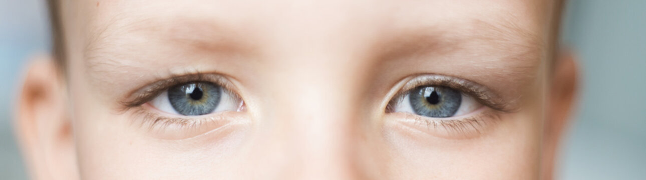 Closeup of beautiful boy eye. Beautiful grey eyes macro shot. image of a little kid eye