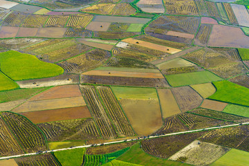 Fototapeta premium Rice field in Bac Son valley in Vietnam