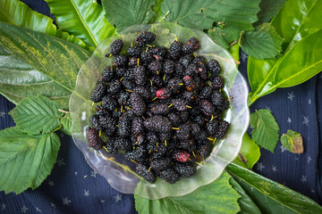 Black mulberry berries on wooden board. Organic farm sweet fruits of Georgia region. Sweet, juicy,...
