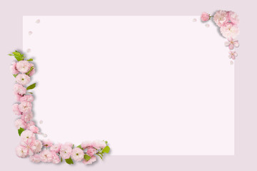 Frame of pink flowers, branches, leaves and petals with space for text on pink background. Flat lay, top view, copy spase