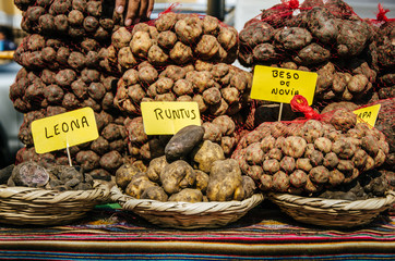Peruvian cuisine: potatoes of different varieties