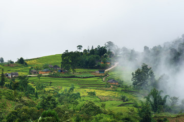 Fototapeta na wymiar Terraced rice field landscape with misty clouds of Y Ty, Bat Xat district, Lao Cai, north Vietnam