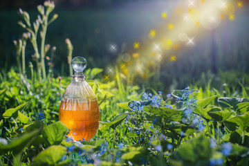 magic potion in bottle outdoor © Maya Kruchancova