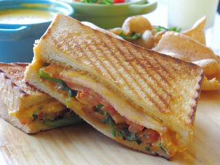 Close up shot of panini sandwich       