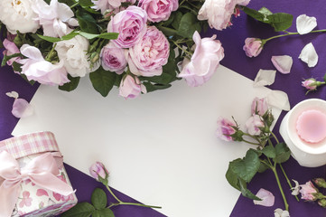 pink roses on a purple background, place for an inscription