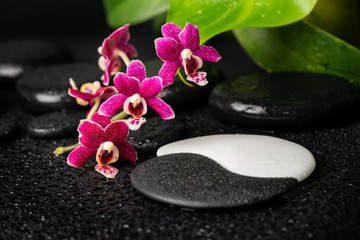 spa setting of zen and sign Yin-Yang stones,  orchid