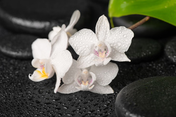 Obraz na płótnie Canvas spa background of zen massaging stones, white orchid