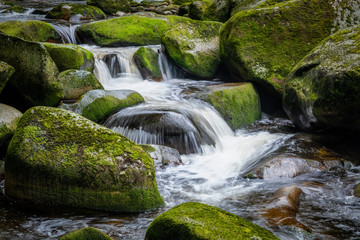 Beautiful small waterfall in green Spruce forest with big rocks around, Vydra river in Sumava,...