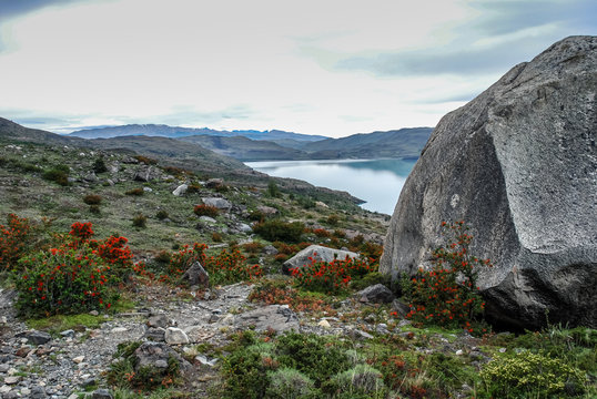 Nordenskjold lake in Paine National Park