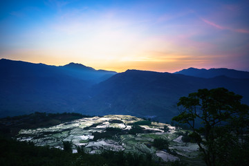 Fototapeta na wymiar Terraced rice field in water season by sunset period, the time before starting grow rice in Y Ty, Lao Cai province, Vietnam