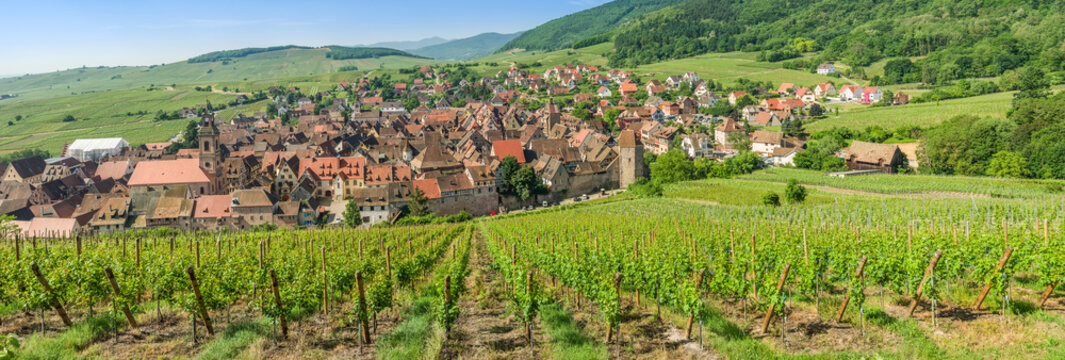 Panorama sur le village de Riquewihr , Alsace (FR)