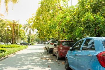 Parallel cars parking on street with green trees