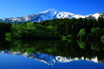 新緑の鳥海山